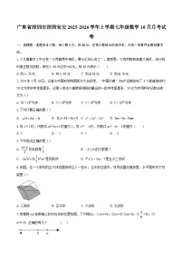 广东省深圳市深圳宝安2025-2026学年上学期七年级数学10月月考试卷-自定义类型