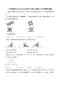 广东省湛江市2025-2026学年八年级上学期1月月考数学试题-自定义类型