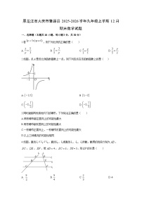 2025-2026学年黑龙江省大庆市肇源县九年级上学期12月期末数学试卷（学生版）