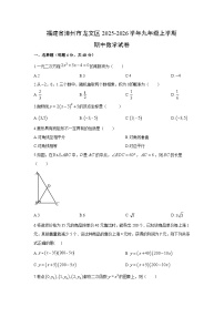 2025-2026学年福建省漳州市龙文区九年级上学期期中数学试卷（学生版）