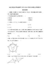 2025-2026学年河北省沧州市河间市九年级上学期期中数学试卷(学生版)