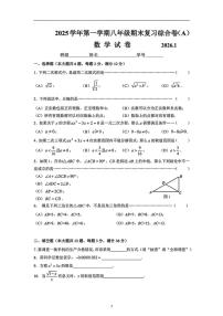 上海市普陀区2025-2026学年八年级上学期期末数学试卷（A）