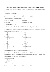 2025-2026学年辽宁省沈阳市皇姑区八年级（上）期末数学试卷-自定义类型