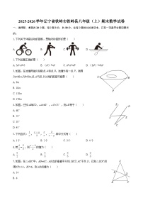 2025-2026学年辽宁省铁岭市铁岭县八年级(上)期末数学试卷-自定义类型