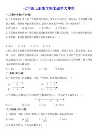 2024版人教版七年级上册数学期末题型大冲关专项练习含答案
