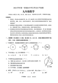 2024-2025学年广东省广州市荔湾区九年级上学期期末数学试卷（含答案）
