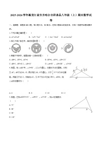 2025-2026学年黑龙江省齐齐哈尔市拜泉县八年级（上）期末数学试卷-自定义类型
