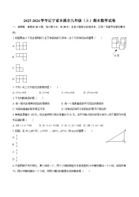 2025-2026学年辽宁省本溪市九年级（上）期末数学试卷-自定义类型