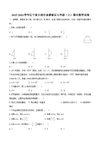 2025-2026学年辽宁省大连市金普新区七年级（上）期末数学试卷-自定义类型