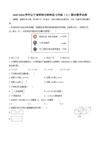 2025-2026学年辽宁省铁岭市铁岭县七年级（上）期末数学试卷-自定义类型