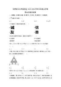 2025-2026学年甘肃省天水市麦积区九年级上学期期末考数学试卷（学生版）