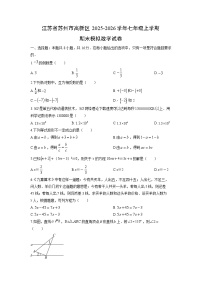 2025-2026学年江苏省苏州市高新区七年级上学期期末模拟数学试卷（学生版）