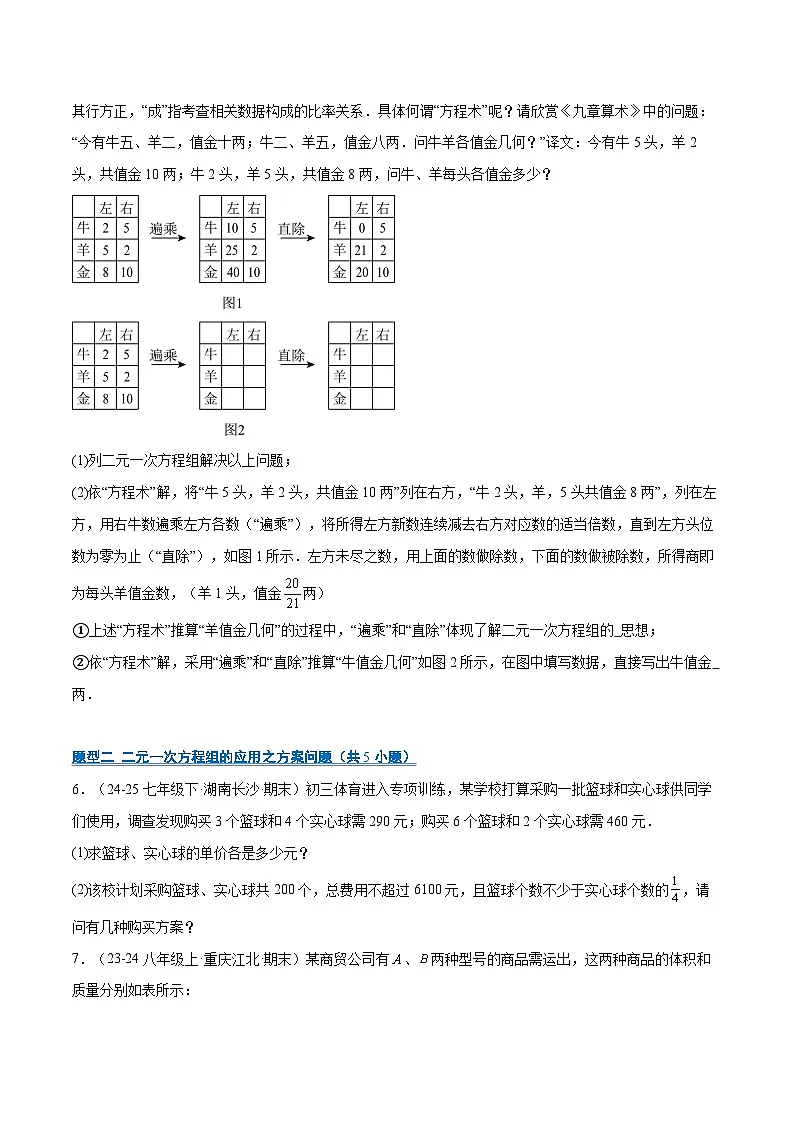 专题09 二元一次方程组的应用(9大题型)(期末复习专项训练)(原卷版)第2页