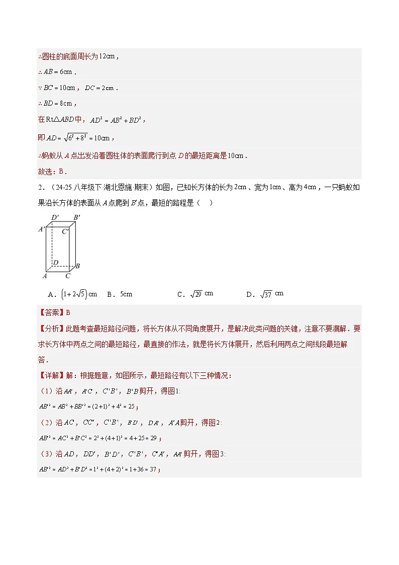 专题14 期末真题易错题百练通关(期末复习专项训练)(解析版)第2页