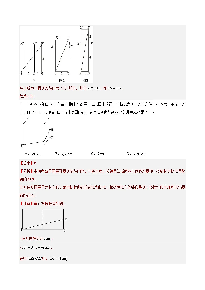 专题14 期末真题易错题百练通关(期末复习专项训练)(解析版)第3页