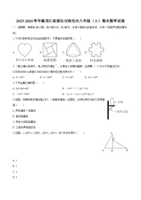 2025-2026学年黑龙江省绥化市海伦市八年级（上）期末数学试卷-自定义类型