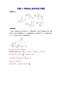 2026学年苏科版数学初三中考复习几何专题13 解直角三角形母抱子模型（讲义）（解析版）