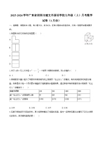 2025-2026学年广东省深圳市建文外国语学校九年级（上）月考数学试卷（1月份）-自定义类型