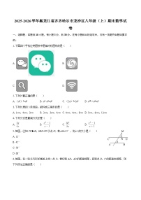 2025-2026学年黑龙江省齐齐哈尔市龙沙区八年级（上）期末数学试卷-自定义类型