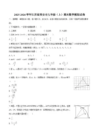 2025-2026学年江苏省淮安市九年级（上）期末数学模拟试卷-自定义类型