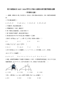 四川省隆昌市2025—2026学年九年级上册期末统考数学模拟试题（华东师大版）-自定义类型