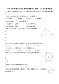 2025-2026学年辽宁省大连市金普新区九年级（上）期末数学试卷（含答案+解析）