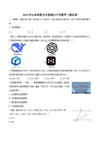 2025年山东省泰安市肥城市中考数学三模试卷（含解析）