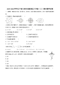 2025-2026学年辽宁省大连市高新园区八年级（上）期末数学试卷-自定义类型