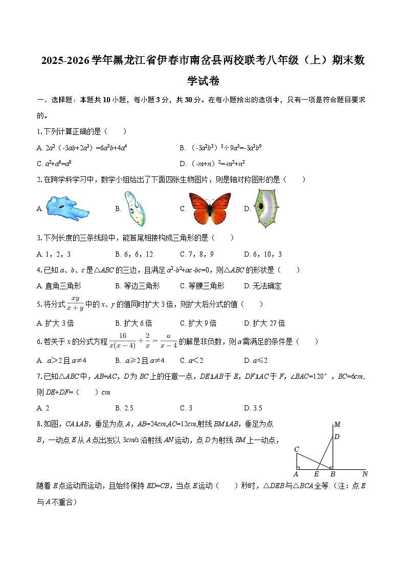 2025-2026学年黑龙江省伊春市南岔县两校联考八年级(上)期末数学试卷-自定义类型第1页
