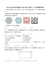 2025-2026学年山东省济宁市汶上县九年级(上)期末数学试卷-自定义类型