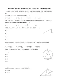 2025-2026学年浙江省湖州市吴兴区九年级（上）期末数学试卷-自定义类型