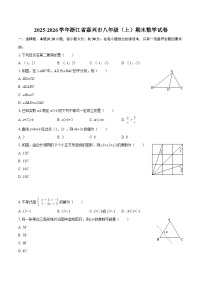 2025-2026学年浙江省嘉兴市八年级（上）期末数学试卷-自定义类型