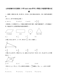 山东省德州市乐陵第三中学2025-2026学年上学期九年级数学期末试题-自定义类型
