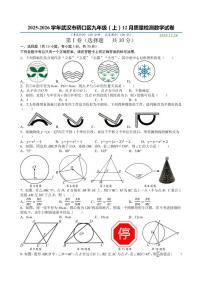 2025-2026学年湖北省武汉市硚口区九年级上学期12月质量检测数学试卷(有答案)