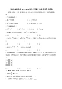 上海市实验学校2025-2026学年上学期七年级数学月考试卷-自定义类型