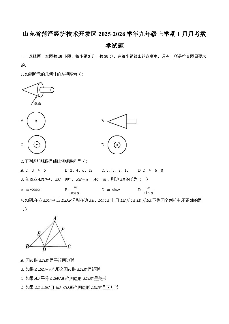 山东省菏泽经济技术开发区2025-2026学年九年级上学期1月月考数学试题-自定义类型第1页