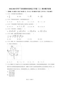 2024-2025学年深圳市龙岗区八年级上册期末数学试卷及答案