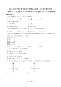 2024-2025学年深圳市罗湖区八年级上册期末数学试卷及答案