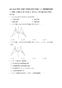 2022-2023学年广东省广州市白云区八年级上学期期末数学试卷(含答案)