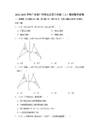 2022-2023学年广东省广州市白云区八年级上学期期末数学试卷(含答案)