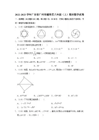 2022-2023学年广东省广州市越秀区八年级上学期期末数学试卷（含答案）