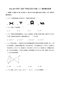 2024-2025学年广东省广州市白云区八年级上学期期末数学试卷（含答案）