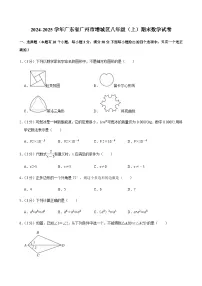 2024-2025学年广东省广州市增城区八年级上学期期末数学试卷（含答案）