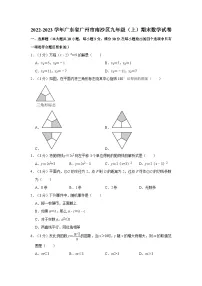 2022-2023学年广东省广州市南沙区九年级上学期期末数学试卷(含答案)