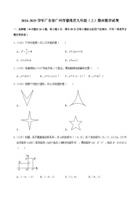 2024-2025学年广东省广州市番禺区九年级上学期期末数学试卷（含答案）