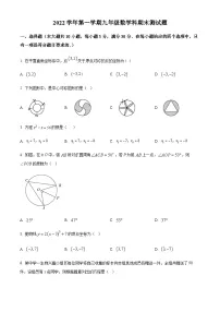 广东省广州市番禺区2022-2023学年九年级上学期期末数学试卷（含答案）