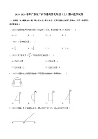 2024-2025学年广东省广州市番禺区七年级上学期期末数学试卷（含答案）