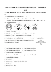 2025-2026学年黑龙江省齐齐哈尔市碾子山区八年级(上)期末数学试卷-自定义类型
