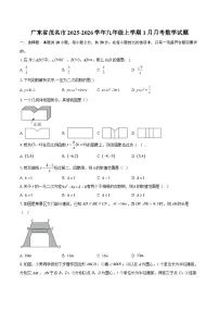 广东省茂名市2025-2026学年九年级上学期1月月考数学试题-自定义类型