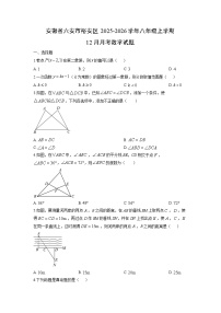 2025-2026学年安徽省六安市裕安区八年级上学期12月月考数学试卷（学生版）